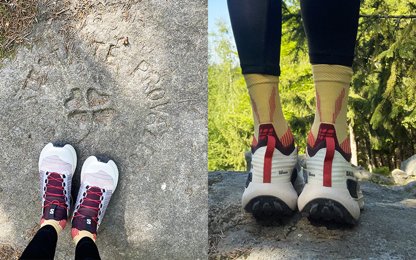 salomon s lab genesis test